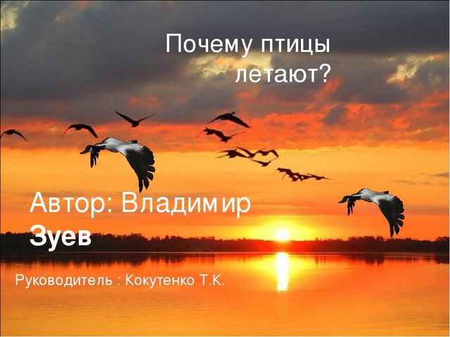Презентация исследовательской работы "Почему птицы летают?" (подготовительная группа)