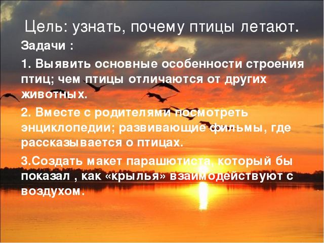 Презентация исследовательской работы "Почему птицы летают?" (подготовительная группа)