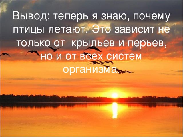 Презентация исследовательской работы "Почему птицы летают?" (подготовительная группа)
