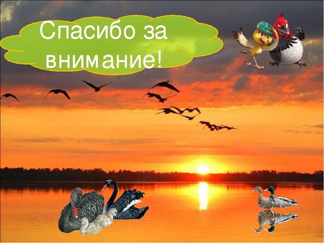 Презентация исследовательской работы "Почему птицы летают?" (подготовительная группа)