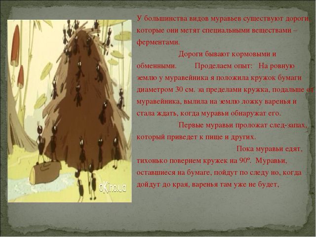 Конкурс исследовательских и творческих проектов детей дошкольного возраста «Я – исследователь».   Тема: Кое-что из жизни муравьев.    