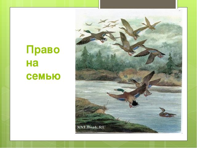 Презентация по правам ребенка