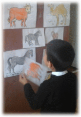 20161123_112753.jpg