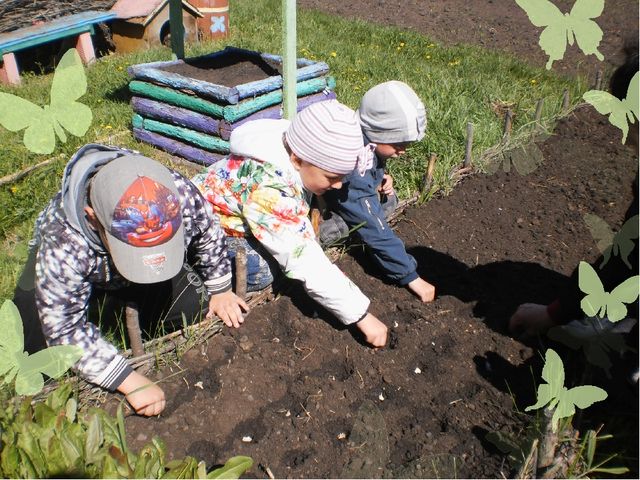Презентация для родительского собрания "Группа дошкольного образования-территория здоровья"