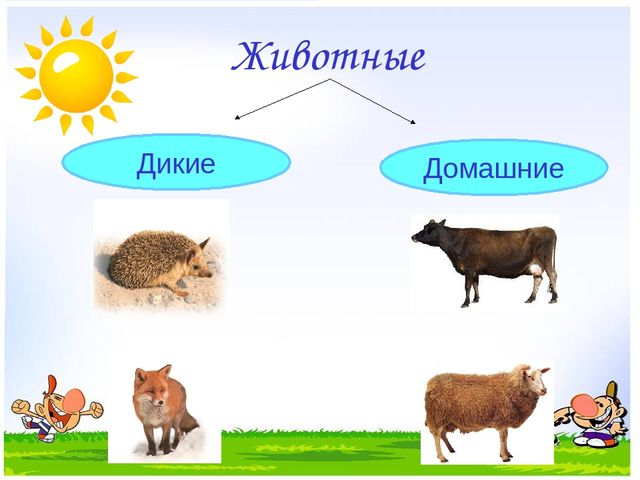 Презентация на тему "Дикие и домашние животные"