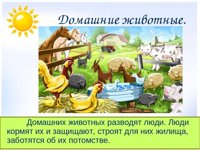 Презентация на тему "Дикие и домашние животные"