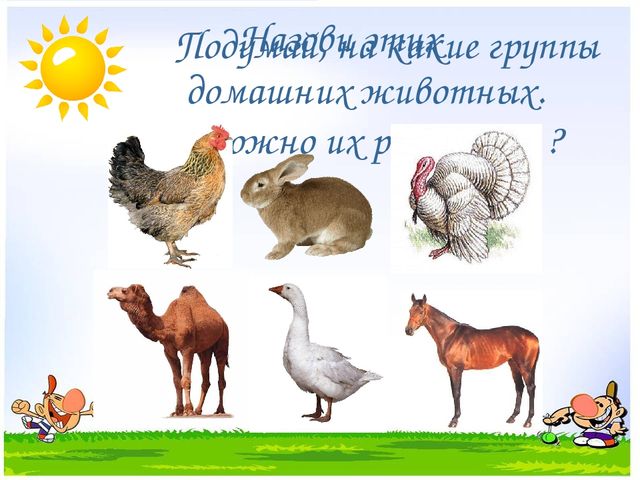 Презентация на тему "Дикие и домашние животные"