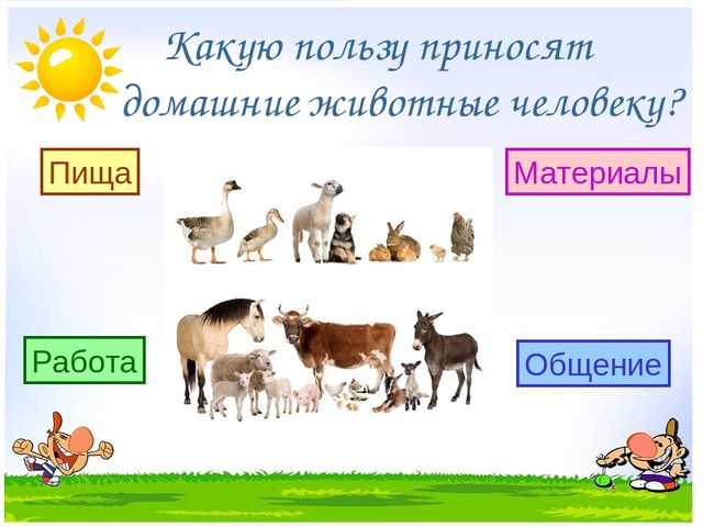 Презентация на тему "Дикие и домашние животные"