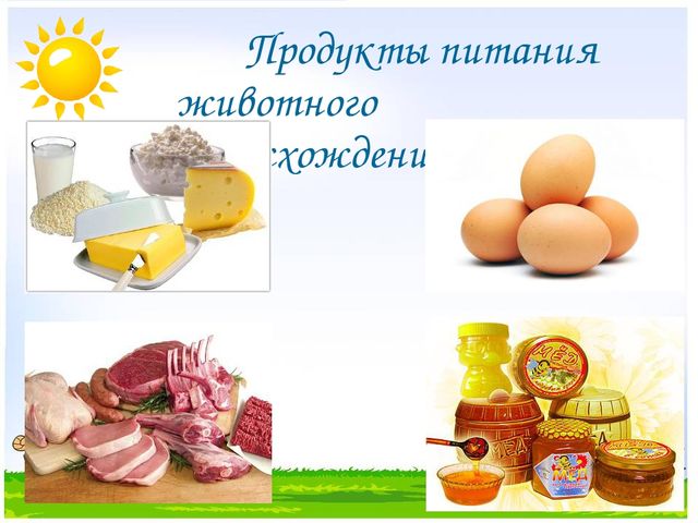 Презентация на тему "Дикие и домашние животные"