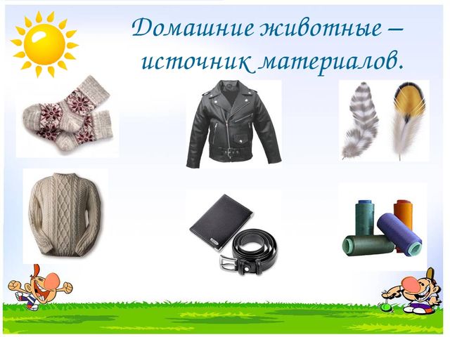 Презентация на тему "Дикие и домашние животные"