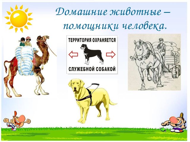 Презентация на тему "Дикие и домашние животные"
