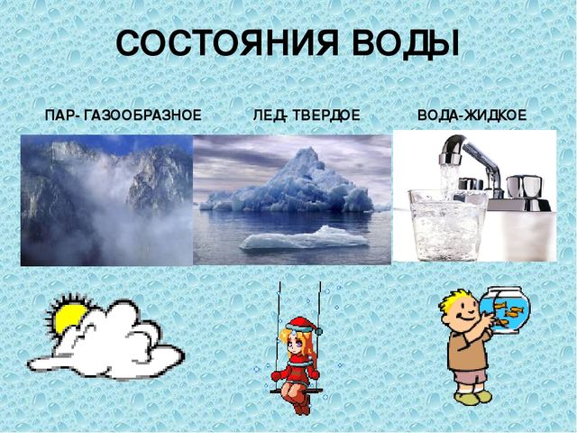 Презентация на тему "Роль воды в жизни человека"