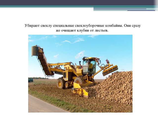 Презентация в подготовительной группе"" Откуда пришел сахарок?"