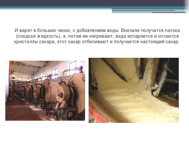 Презентация в подготовительной группе"" Откуда пришел сахарок?"