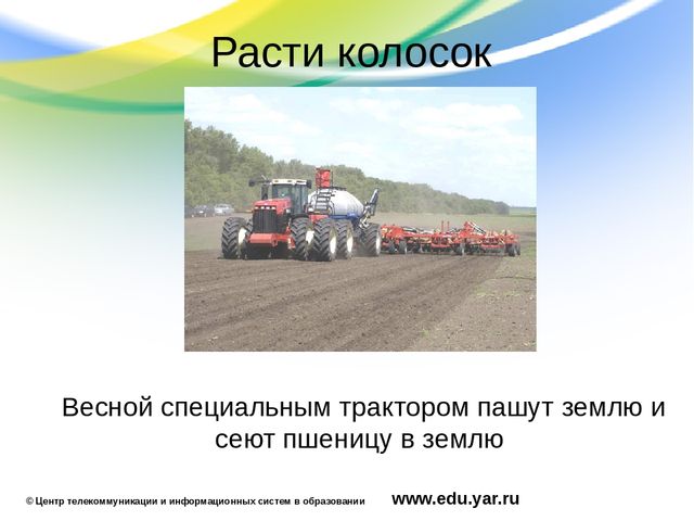 Презентация по образовательной области "Познавательное развитие"