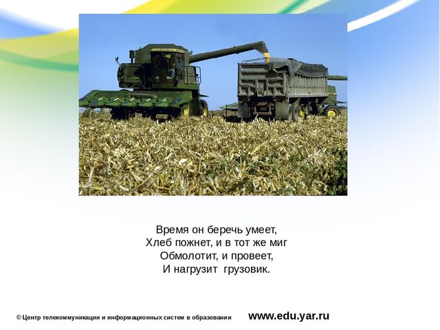 Презентация по образовательной области "Познавательное развитие"