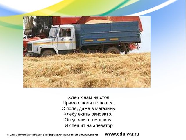 Презентация по образовательной области "Познавательное развитие"