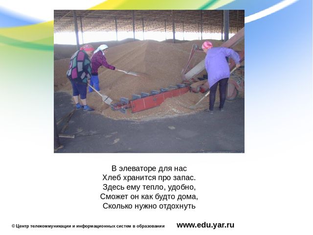 Презентация по образовательной области "Познавательное развитие"