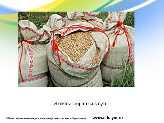 Презентация по образовательной области "Познавательное развитие"