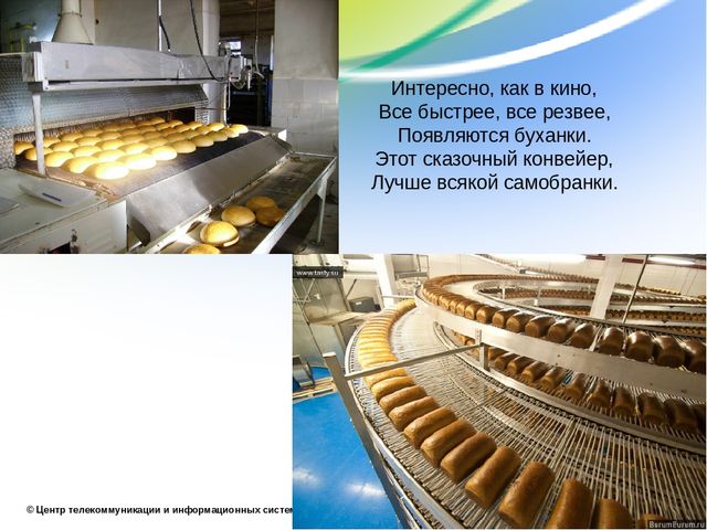 Презентация по образовательной области "Познавательное развитие"
