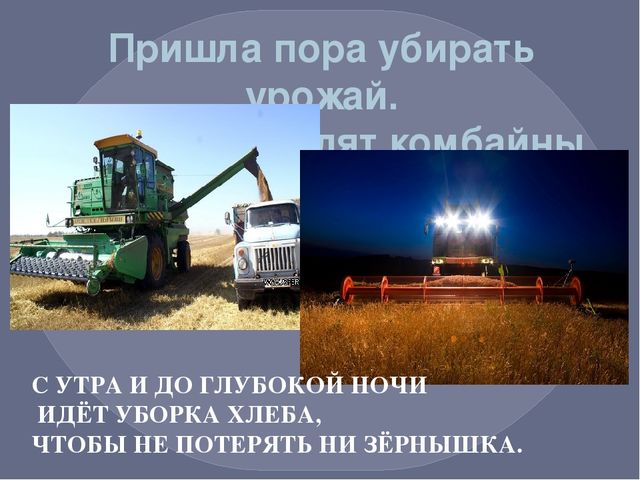 Презентация по окружающему миру на тему "Путь хлеба"