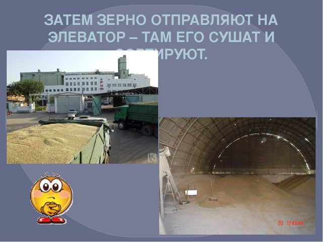 Презентация по окружающему миру на тему "Путь хлеба"