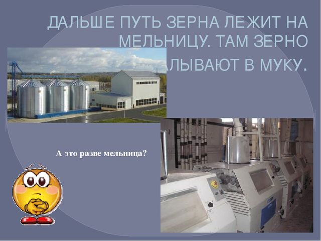 Презентация по окружающему миру на тему "Путь хлеба"