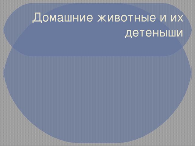 Презентация на тему "Домашние животные и их детеныши"
