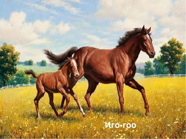 Презентация на тему "Домашние животные и их детеныши"
