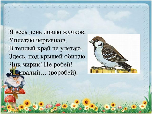 Презентация для дошкольников "Доскажи словечко"