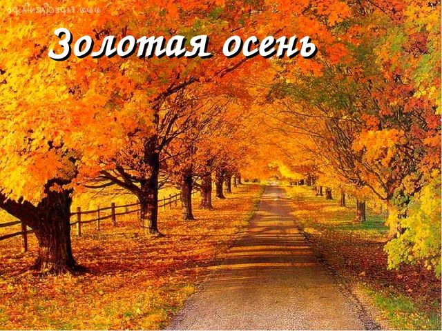 Презентация на тему "Осень"