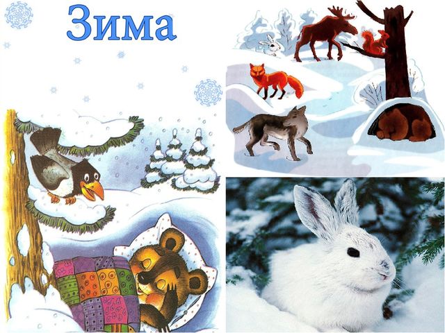 Презентация на тему "Зима"