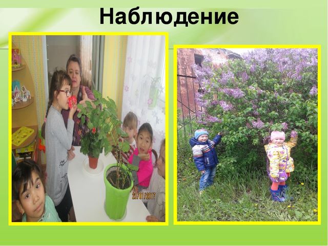 Презентация Эффективность использования инновационных технологий на занятиях