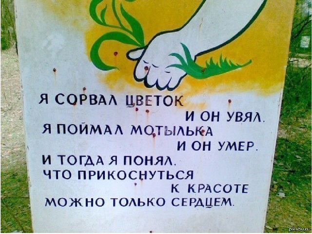 Презентация по экологии Человек и природа. Легенда о цветах (для детей старшего дошкольного возраста)