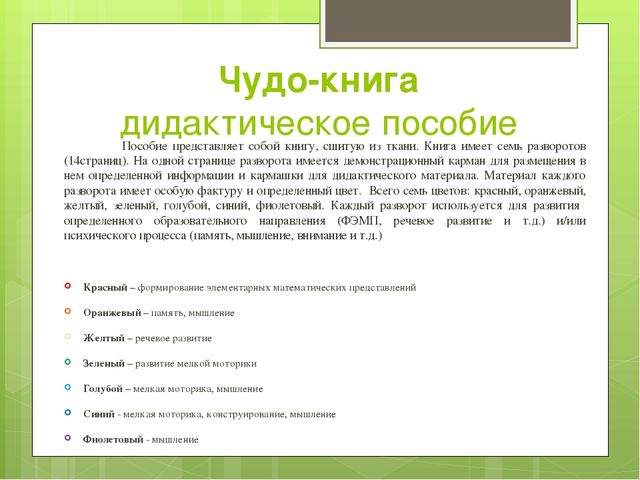 Авторская игрушка ЧУДО-КНИГА. Практическое пособие по работе с дидактическим материалом
