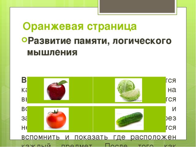Авторская игрушка ЧУДО-КНИГА. Практическое пособие по работе с дидактическим материалом