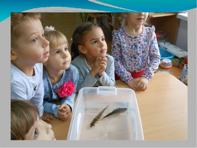 Презентация. Краткосрочный проект "Поиграем с водой"