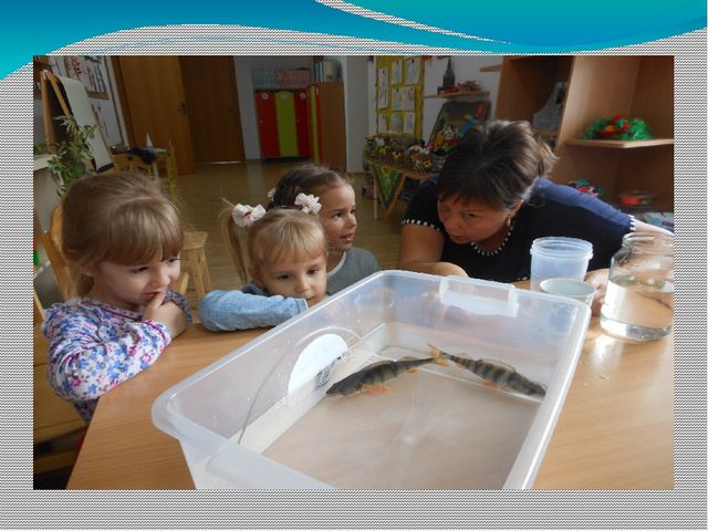 Презентация. Краткосрочный проект "Поиграем с водой"