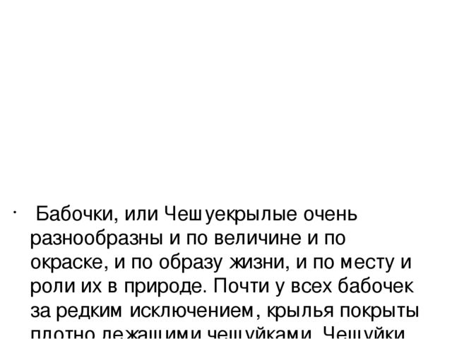 Экспериментальный проект "Развитие бабочки"