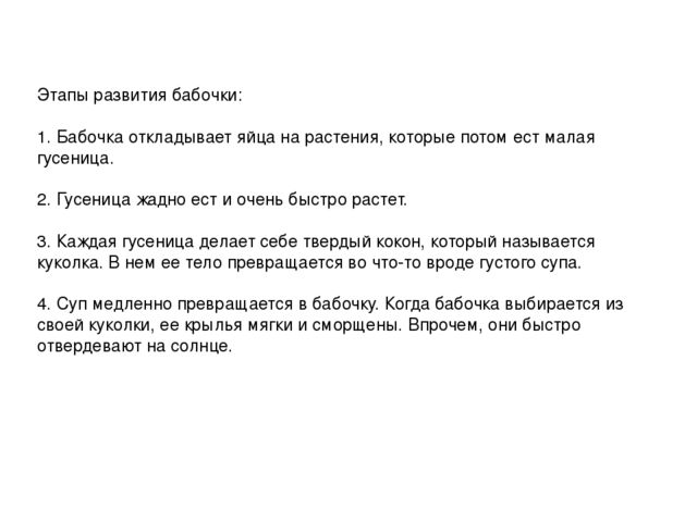 Экспериментальный проект "Развитие бабочки"