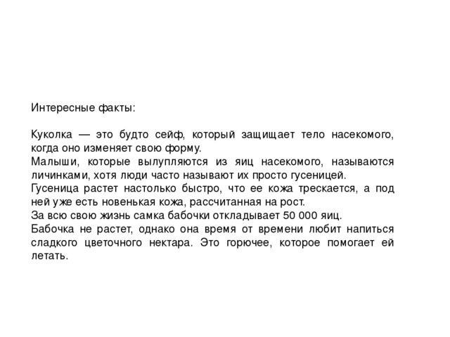Экспериментальный проект "Развитие бабочки"