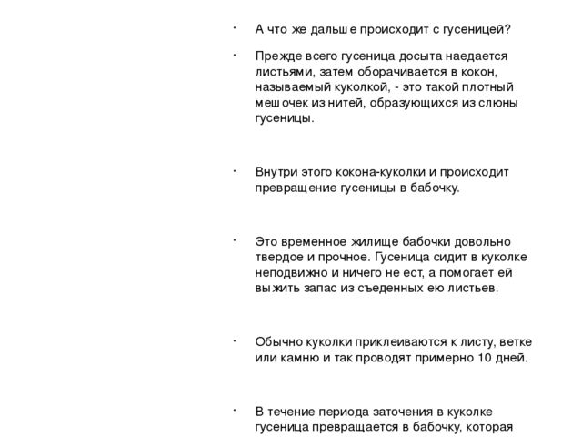 Экспериментальный проект "Развитие бабочки"