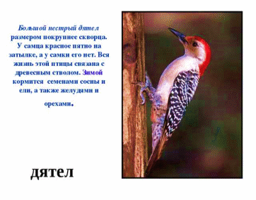 Picture 8
