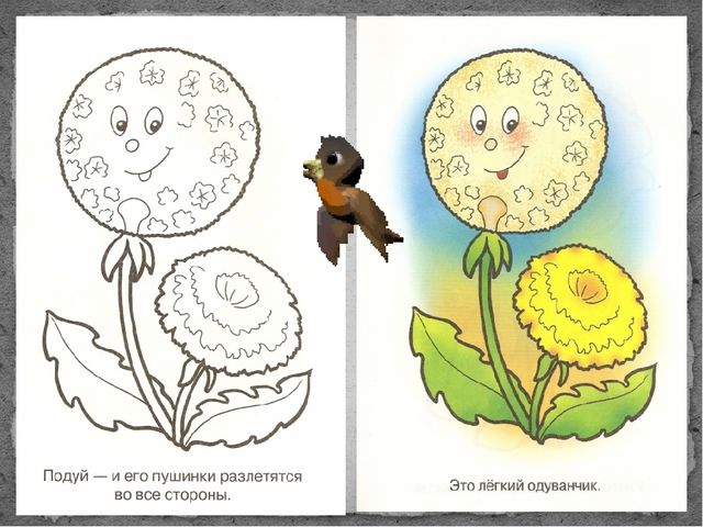 Презентация для дошкольников" Одуванчики...Одуванчики".