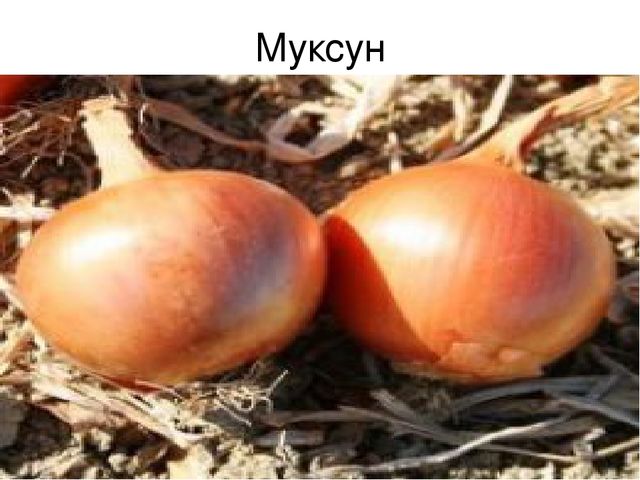 Преезентация "Словарная работа" по родному языку