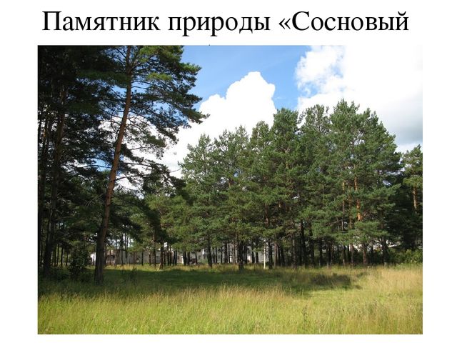 Презентация на тему "Енисейск-жемчужина Красноярского края"