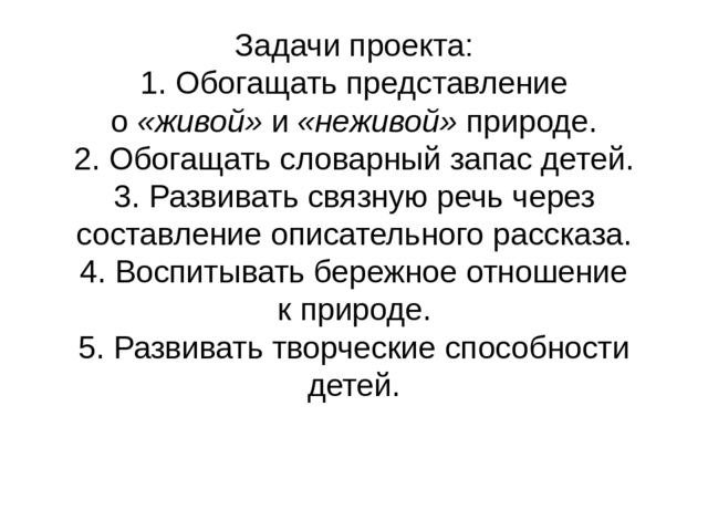 Презентация проекта "Объекты живой и неживой природы"