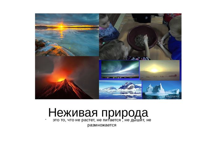 Презентация проекта "Объекты живой и неживой природы"
