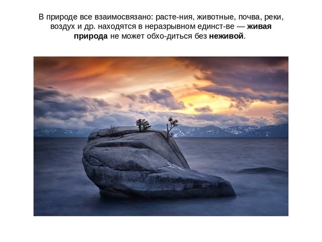 Презентация проекта "Объекты живой и неживой природы"