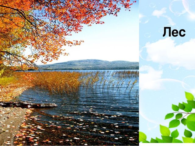Презентация по окружающему миру